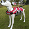 لقطة شاشة 2026-07-02 210500 Dog Life Jacket – Safety Swim Vest for Dogs | Oxford Breathable Pet Floatation Vest for Swimming & Surfing