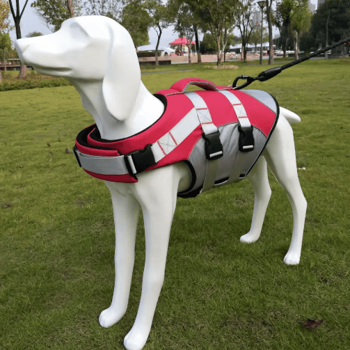 لقطة شاشة 2026-07-02 210500 Dog Life Jacket – Safety Swim Vest for Dogs | Oxford Breathable Pet Floatation Vest for Swimming & Surfing