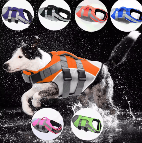 لقطة شاشة 2026-07-02 210515 Dog Life Jacket Oxford Safety Swim Vest for Pets – Adjustable Floating Harness for Swimming, Surfing, and Water Activities
